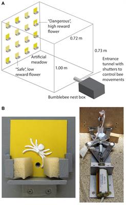 Bumblebees Express Consistent, but Flexible, Speed-Accuracy Tactics Under Different Levels of Predation Threat